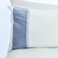 494Cs Bleu Avio